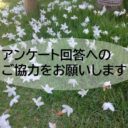 アンケート