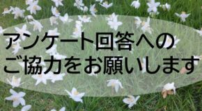 アンケート