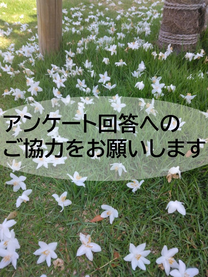アンケート