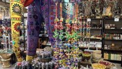 15MALAIKA BAZAAR(9/18 OPEN）